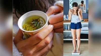 Fat cutter Drink: सोते समय वजन घटाने के लिए बेस्ट हैं ये 5 ड्रिंक्स, बिना एक्सरसाइज के बना देगी स्लिम-ट्रिम