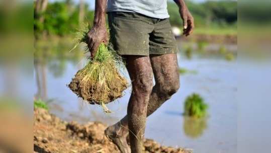 விவசாயிகளுக்கு ரூ.15 லட்சம்... செம சூப்பரான திட்டம்!