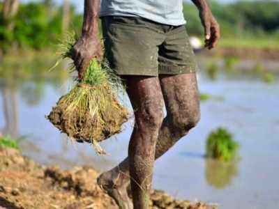 விவசாயிகளுக்கு ரூ.15 லட்சம்... செம சூப்பரான திட்டம்!