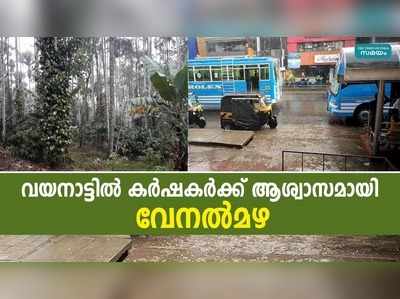 വയനാട്ടില്‍ കര്‍ഷകര്‍ക്ക് ആശ്വാസമായി വേനല്‍മഴ