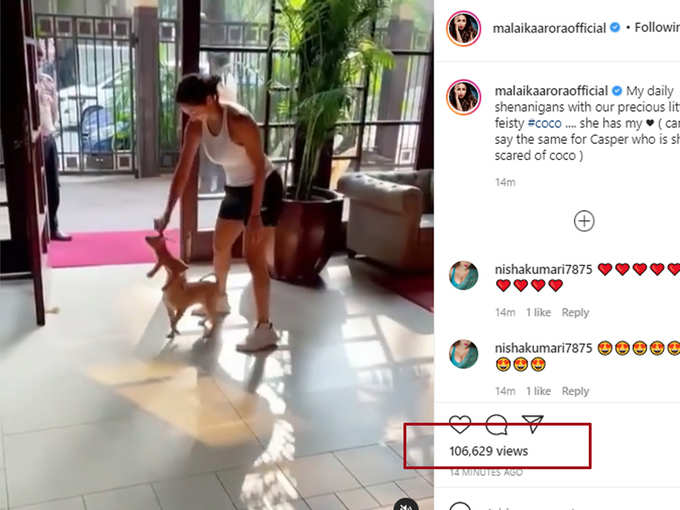 Malaika arora playing with her dog