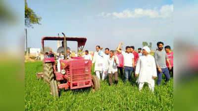 कृषि कानून के खिलाफ किसान ने बर्बाद की 12 बीघा खड़ी फसल, ग्रामीणों ने किया बीजेपी नेताओं के बहिष्कार का ऐलान