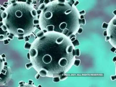 coronavirus india : करोनाचा वाढता संसर्ग; पंतप्रधान कार्यालयात बैठक, महाराष्ट्रात करोनाचे दोन प्रकार