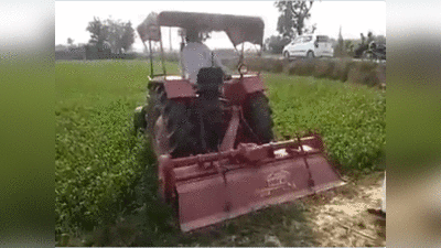 Meerut news: कृषि कानूनों के विरोध में अब मेरठ के किसान ने उजाड़ी अपनी फसल