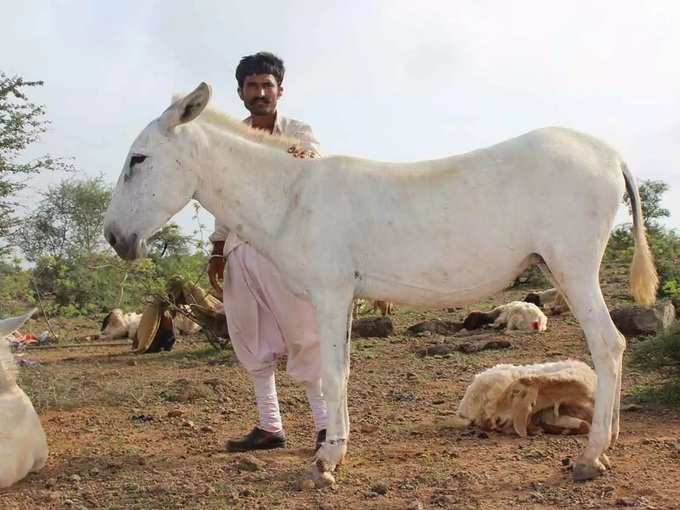 ​കർശന നടപടി സ്വീകരിക്കുമെന്ന് ഗുണ്ടൂർ എസ്പി