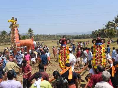 കാണികള്‍ക്കു നവ്യാനുഭവമായി മച്ചാട് മാമാങ്കം; വീഡിയോ കാണാം