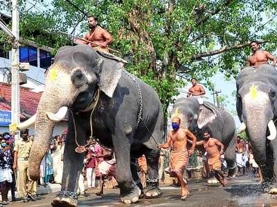 ആവേശമായി ആനയോട്ടം; വീണ്ടും ഗോപീകൃഷ്ണന്‍ ജേതാവ്! ഗുരുവായൂരിൽ ഇന്ന് കൊടിയേറും, വീഡിയോ കാണാം