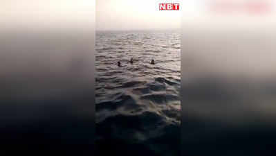 केरल में मछुआरों संग समंदर में उतरे राहुल गांधी, देखें वीडियो