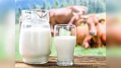 Milk and diabetes: गाय-भैंस या ऊंटनी? जानें डायबिटीज के मरीजों के लिए किसका दूध है अमृत समान