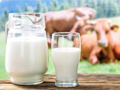 Milk and diabetes: गाय-भैंस या ऊंटनी? जानें डायबिटीज के मरीजों के लिए किसका दूध है अमृत समान