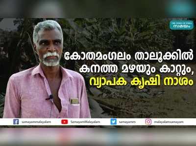 കോതമംഗലം താലൂക്കില്‍ കനത്ത മഴയും കാറ്റും, വ്യാപക കൃഷി നാശം