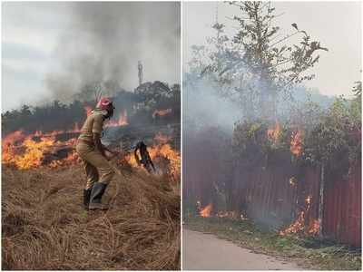 നിലമ്പൂർ കോടതിക്ക് സമീപം തീപിടുത്തം, സമയോചിത ഇടപെടൽ അപകടം ഒഴിവാക്കി; വീഡിയോ കാണാം