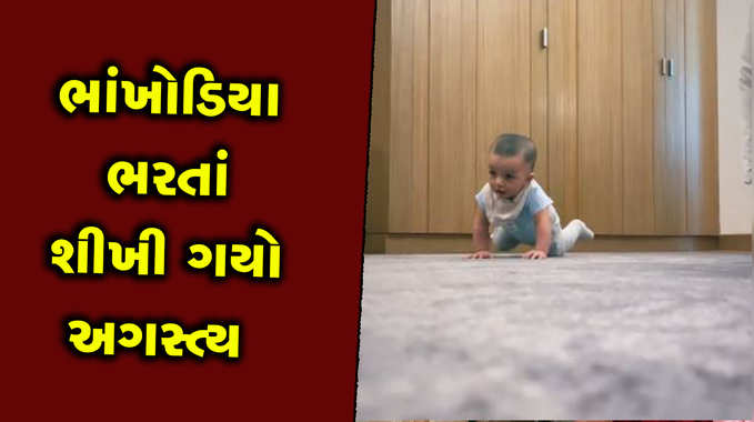 ભાંખોડિયા ભરતાં શીખી ગયો બેબી પંડ્યા, મમ્મી નતાશાએ શેર કર્યો ક્યૂટ વીડિયો 