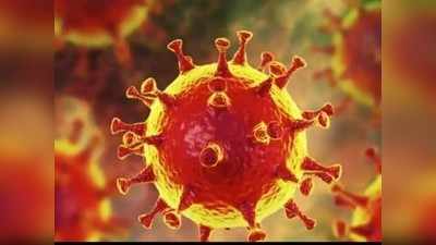 coronavirus : शहरात ४२५३ सक्रिय रुग्ण