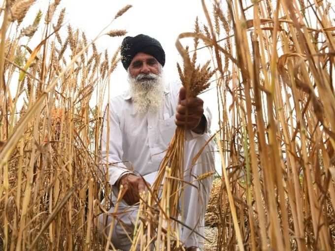 ​रिकॉर्ड पैदावार से मिलेगा और बूस्ट