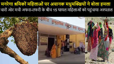 Jodhpur news :  मनरेगा श्रमिको पर अचानक मधुमखियों ने किया हमला , मची अफरा- तफरी