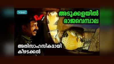 അടുക്കളയില്‍ രാജവെമ്പാല... അതിസാഹസികമായി കീഴടക്കല്‍, വീഡിയോ കാണാം