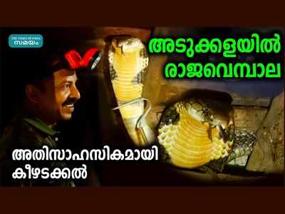 അടുക്കളയില്‍ രാജവെമ്പാല... അതിസാഹസികമായി കീഴടക്കല്‍, വീഡിയോ കാണാം