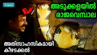 അടുക്കളയില്‍ രാജവെമ്പാല... അതിസാഹസികമായി കീഴടക്കല്‍