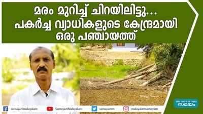 മരം മുറിച്ച് ചിറയിലിട്ടു..... പകര്‍ച്ച വ്യാധികളുടെ കേന്ദ്രമായി ഒരു പഞ്ചായത്ത്