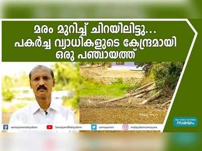 മരം മുറിച്ച് ചിറയിലിട്ടു..... പകര്‍ച്ച വ്യാധികളുടെ കേന്ദ്രമായി ഒരു പഞ്ചായത്ത്