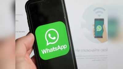 WhatsApp-এ এবার Mute Video ফিচার! কী ভাবে ব্যবহার করবেন, জানুন সহজ পদ্ধতি