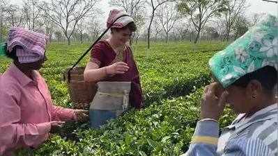 Priyanka Gandhi Assam Visit: असम में नए अंदाज में नजर आईं प्रियंका गांधी, सिर से टोकरी लटकाकर चाय बागान में तोड़ी पत्तियां, देखें VIDEO