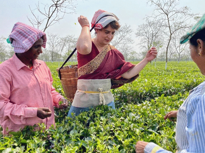 ​प्रियंका ने किया झूमर डांस फिर चाय के बागान में आईं नजर
