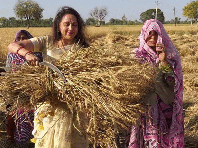 ​गेहूं काटने खेतों में पहुंची थीं हेमा मालिनी