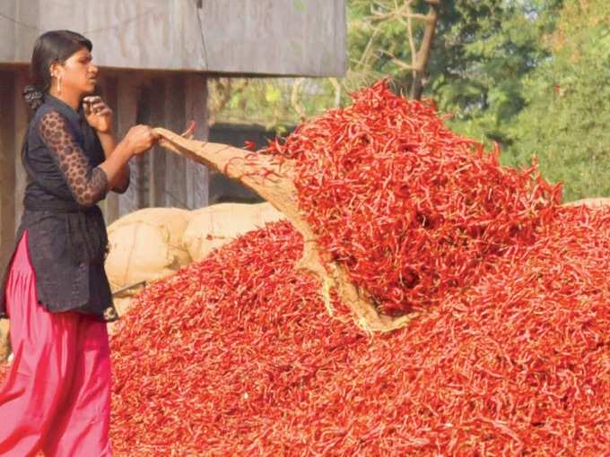 ​ತರಹೇವಾರಿ ಉತ್ಪನ್ನ