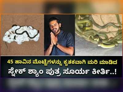 ವಿಡಿಯೋ: 45 ಹಾವಿನ ಮೊಟ್ಟೆಗಳನ್ನು ಕೃತಕವಾಗಿ ಮರಿ ಮಾಡಿದ ಸ್ನೇಕ್ ಶ್ಯಾಂ ಪುತ್ರ ಸೂರ್ಯ ಕೀರ್ತಿ