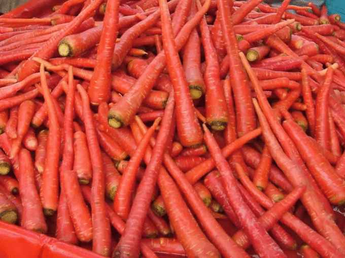 अल्ट्रावायलट रेज से बचाए गाजर