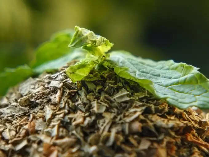 ​ಜೀರ್ಣ ಕ್ರಿಯೆಯನ್ನು ಸುಧಾರಿಸುತ್ತದೆ