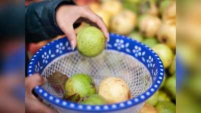Guava Side Effects: ज्‍यादा अमरूद खाने से भी होता है नुकसान, त्‍वचा और पेट पर सीधा करता है हमला