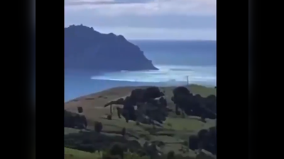 Earthquake Tsunami Video: न्‍यूजीलैंड में भूकंप के चार भीषण झटके, समुद्र में उठीं लहरें, सुनामी के डर से घर छोड़कर भागे लोग