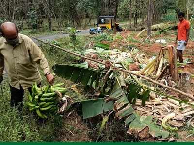 സ്വര്‍ണ്ണക്കടത്തോ സോളാറോ ഞങ്ങൾക് വിഷയമല്ല...  കൃഷി ചെയ്യാൻ സൗകര്യം തരൂ, വോട്ടു ചെയ്യാമെന്ന് കണ്ണൂരിലെ കര്‍ഷകര്‍