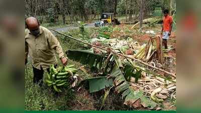 സ്വര്‍ണ്ണക്കടത്തോ സോളാറോ ഞങ്ങൾക് വിഷയമല്ല...  കൃഷി ചെയ്യാൻ സൗകര്യം തരൂ, വോട്ടു ചെയ്യാമെന്ന് കണ്ണൂരിലെ കര്‍ഷകര്‍