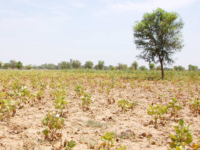 ​​कौन ले सकता है स्कीम का फायदा