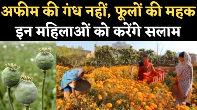 Jharkhand News: अफीम की गंध को फूलों की महक में बदलने वाली महिलाओं की कहानी, आप भी करेंगे सलाम