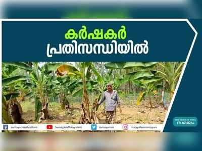 കൊല്ലം ജില്ലയിലെ കിഴക്കൻ മേഖയിലെ കർഷകർ പ്രതിസന്ധിയിൽ