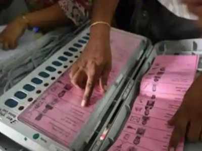 Bihar Panchyat Election 2021: सिंबल का नाम सुनकर हो जाएंगे हैरान, ऊंट से लेकर अंगूठी तक 99 चुनाव चिन्ह फाइनल