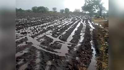 ગુજરાતના વાતાવરણમાં પલટો: દેવભૂમિ દ્વારકા અને દાહોદમાં વરસાદ પડ્યો