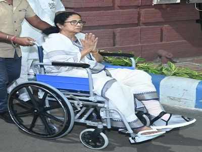 West Bengal Assembly Election: রিজার্ভ বেঞ্চে বসতে নারাজ,  হুইলচেয়ার নিয়েই প্রচারে নেত্রী