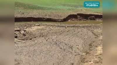 ഹൈ റേഞ്ചിൽ വേനലിൻ്റെ കാഠിന്യം; അണക്കെട്ടുകളിലെ അടക്കം ജലനിരപ്പ് താഴുന്നു, കുടിവെള്ള പ്രശ്നം രൂക്ഷം, വീഡിയോ കാണാം