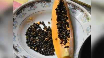 Papaya seeds Benefits: पपीते के बीजों को न समझें बेकार, हैरत में डाल देंगे इसके ये 8 जबरदस्‍त फायदे