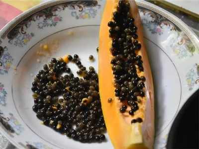 Papaya Seeds Benefits पपईच्या बिया कचरापेटीत फेकता? त्वचेपासून ते वेट लॉसपर्यंत मिळणारे ६ फायदे जाणून घ्या