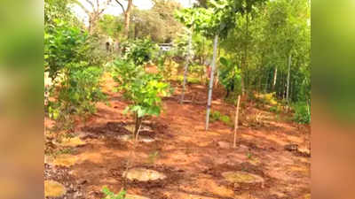 मुंबईतील सीएसएमटीमध्ये फुलणार औषधी बाग