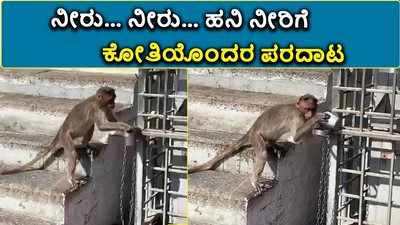 ಚಾಮುಂಡಿ ಬೆಟ್ಟ: ನೀರು… ನೀರು… ಹನಿ ನೀರಿಗೆ ಕೋತಿ ಪರದಾಟ