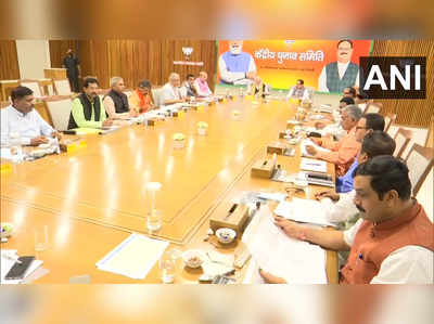 bjp meeting : भाजपच्या केंद्रीय निवड समितीची बैठक, PM मोदींसह दिग्गज नेते उपस्थित