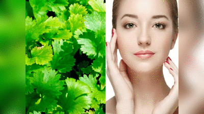 Coriander Skin Care: ये छोटी हरी पत्तियां आपकी त्वचा को गुलाबी बना सकती हैं, भोजन और स्किन पर करें उपयोग